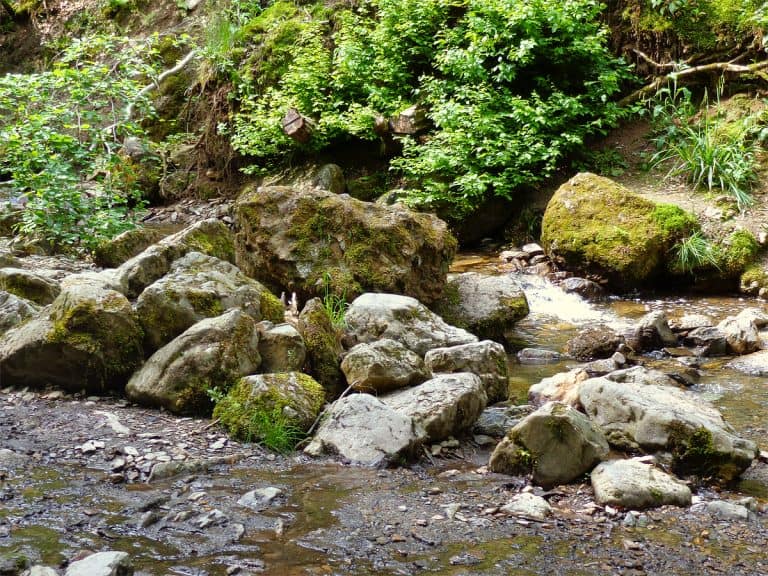 rocks-ninglinspo-river-walk